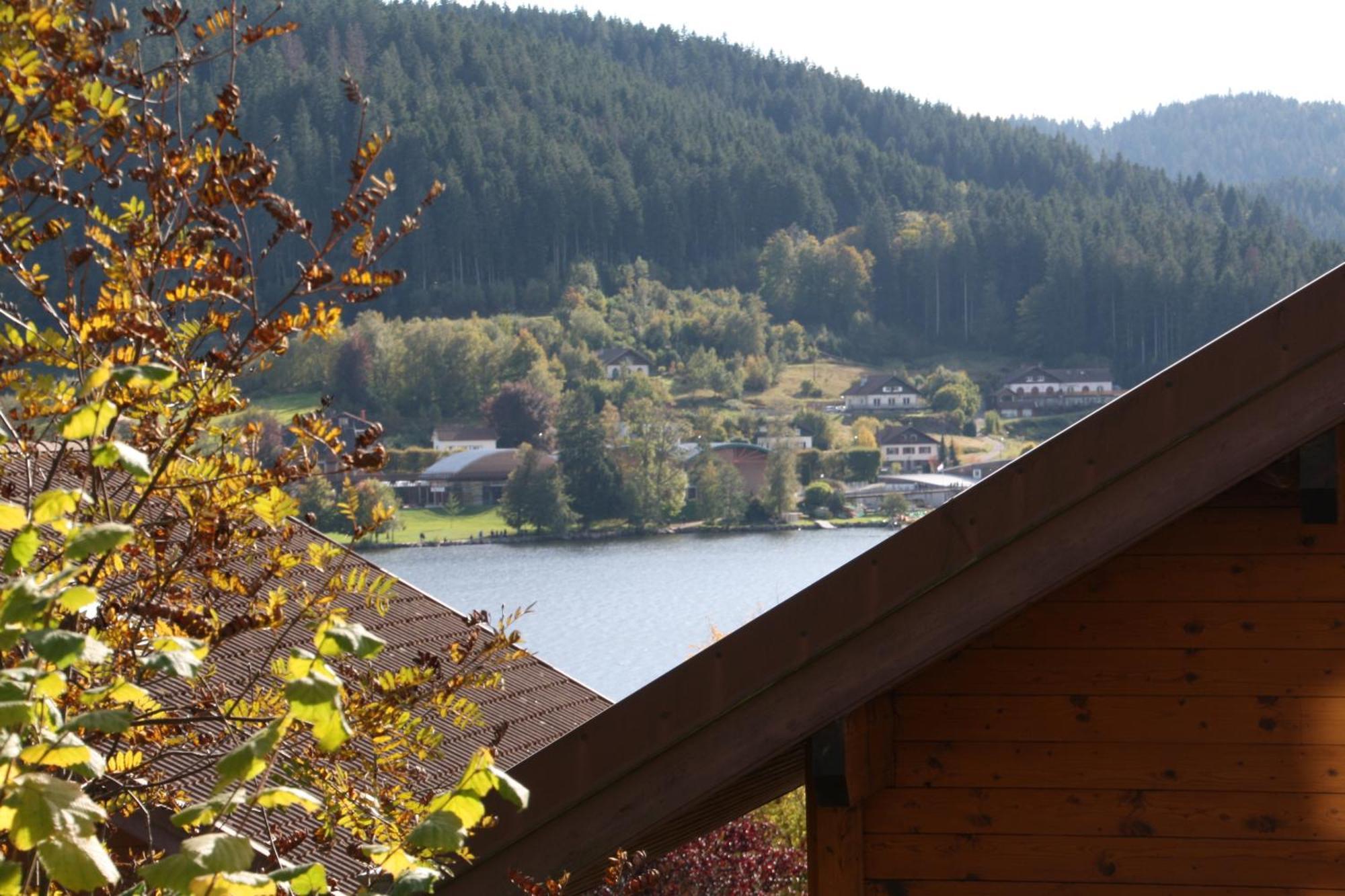 Chalet Vosgien Gérardmer Exteriör bild